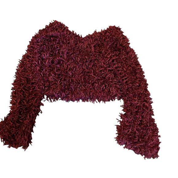 Capsulle Top Burgundy Glitter Fringe Everywhere Long Bell Sleeve Cropped SZ S - Picture 5 of 8